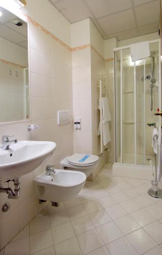 a bathroom with a sink and a toilet and a shower at Hotel Residence Dei Fiori in Baveno