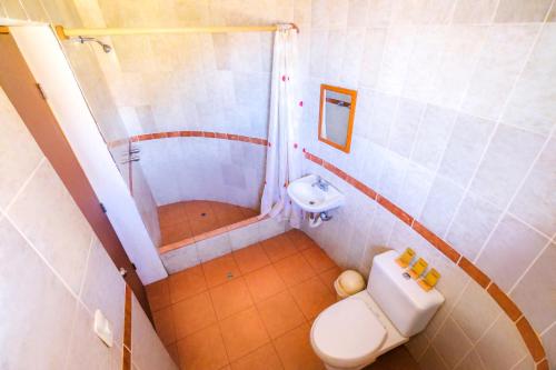 a bathroom with a shower and a toilet and a sink at La Granja del Colca in Cabanaconde