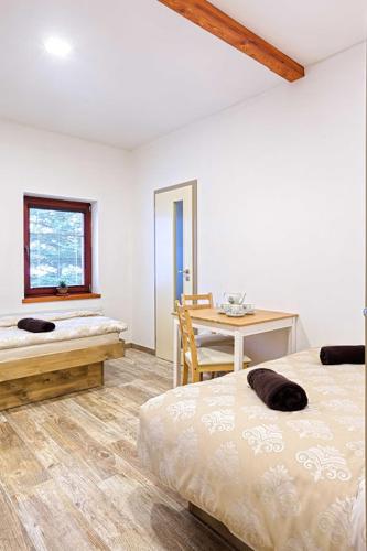 a bedroom with two beds and a table and a window at Šnekolend in Rokytnice nad Jizerou