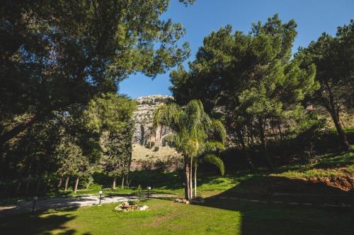 a park with a tree and a mountain in the background at LuminHouse Mondello Fico in Mondello