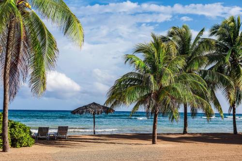 a beach with two palm trees and the ocean at Half Moon in Montego Bay
