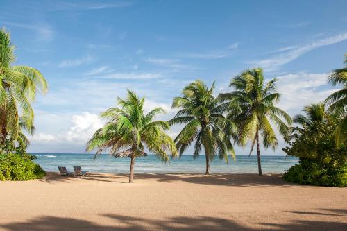 a beach with palm trees and the ocean at Half Moon in Montego Bay