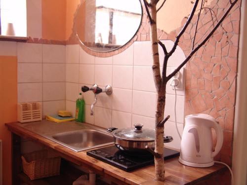 a kitchen sink sitting under a window next to a plant at Artharmony Pension & Hostel in Prague