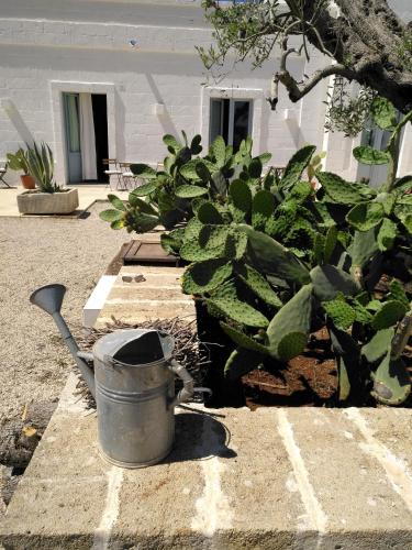 Φωτογραφία από το άλμπουμ του Masseria Fulcignano σε Galatone