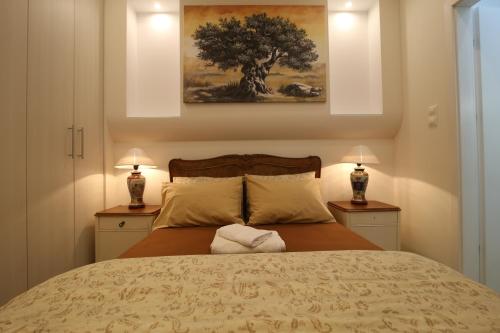 Luxurious Athenian Apartment