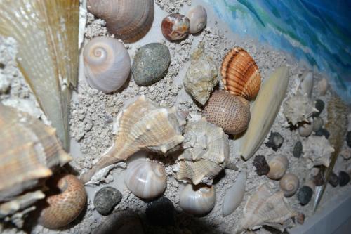 Seashell Art Decor Studio & Private Garage
