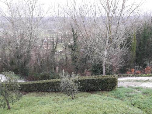 a garden with a hedge and trees in the background at Camere Montalbano in San Miniato