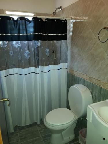 y baño con aseo y cortina de ducha. en Ariel Reynoso - Departamento Planta Alta en Mina Clavero