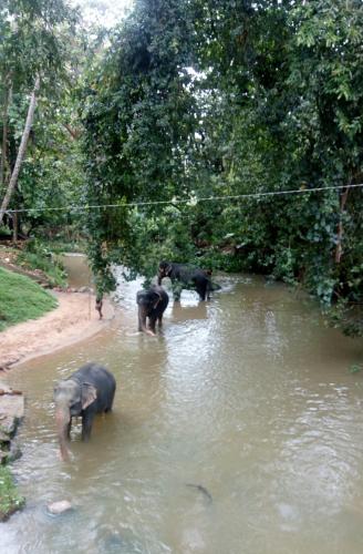 Landskap semula jadi dekat dengan rumah tamu ini