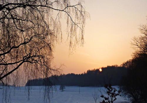a sunset over a snowy field with a tree at Fuchsenlohe in Schlier