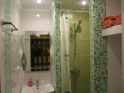 ein Bad mit einer Dusche, einem Waschbecken und einem Spiegel in der Unterkunft Уютная квартира ФЕНТЕЗИ in Krywyj Rih