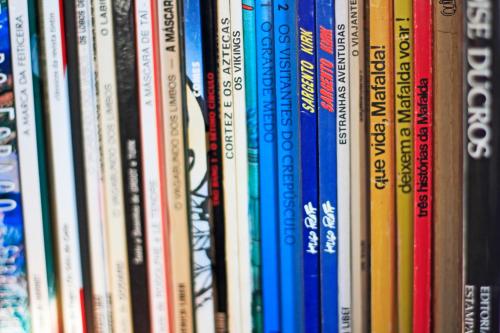 a bunch of books lined up on a shelf at Casa do Coentral a sua casa Rustica in Lousa