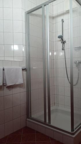 a shower with a glass door in a bathroom at Appartement Bruckberg in Zell am See