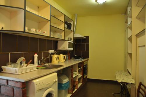 Private Villa 4 Seasons في بيرهوف: مطبخ مع حوض وغسالة ملابس