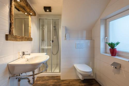 łazienka z umywalką, prysznicem i toaletą w obiekcie Alpenhostel "Das Besenhaus" w mieście Altenmarkt im Pongau