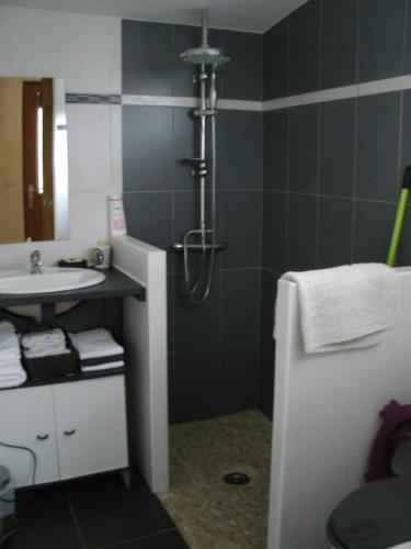 uma casa de banho com um chuveiro e um lavatório. em Chambres d'hotes du Moulin em Saint-Julien-sur-Cher