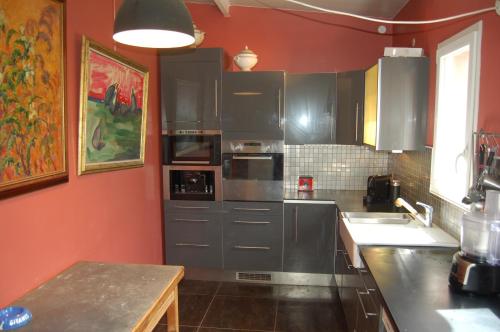 une cuisine avec des murs rouges et des appareils en acier inoxydable dans l'établissement maison atypique les pieds dans l'eau, à Sète