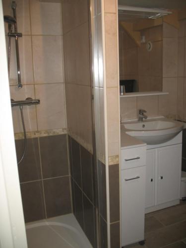 uma casa de banho com um chuveiro e um lavatório. em Les Gites Du Chardon em Teuillac