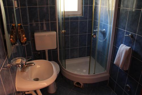 W łazience znajduje się umywalka, prysznic i toaleta. w obiekcie Apartments Todorovic w Petrovacu na Moru