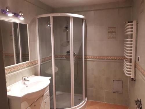 ザコパネにあるNoclegi Zakopaneのバスルーム(シャワー、シンク付)