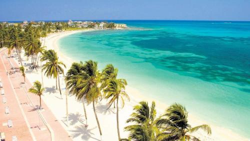 eine Luftblick auf einen Strand mit Palmen und das Meer in der Unterkunft Apartamentos Aury in San Andrés