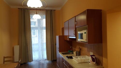 cocina con fregadero, microondas y ventana en Apartman v centru Karlovych Varu en Karlovy Vary