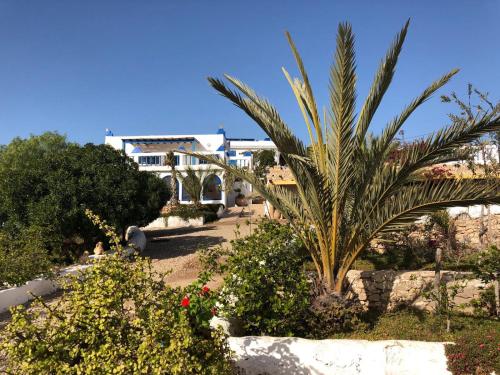 Gallery image of L'Air De La Mer in Sidi Kaouki