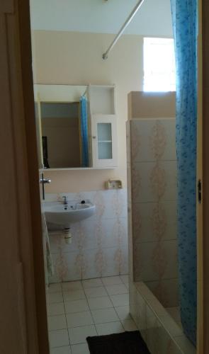 un bagno con lavandino e specchio di Alpha Villa - Studios without kitchen a Flic-en-Flac