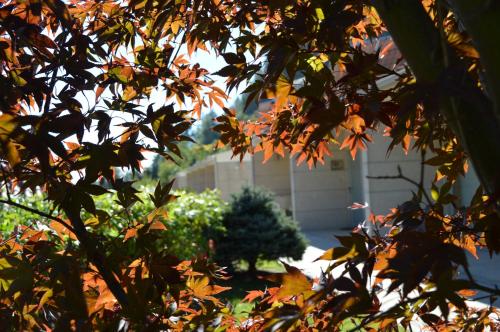 a view of a building through the leaves of a tree at Casinhas do Gerês in Geres