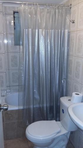a bathroom with a toilet and a sink and a shower at Departamentos Arlenne in Valdivia