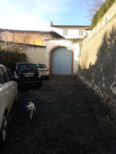 a cat standing in the driveway of a garage at B&B L'Orologio in Signa