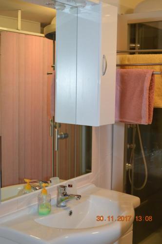 A bathroom at Privat Pod Skalkou