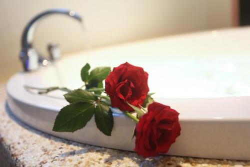 a bathroom sink with two red roses on it at Teamilu Homestay in Datong
