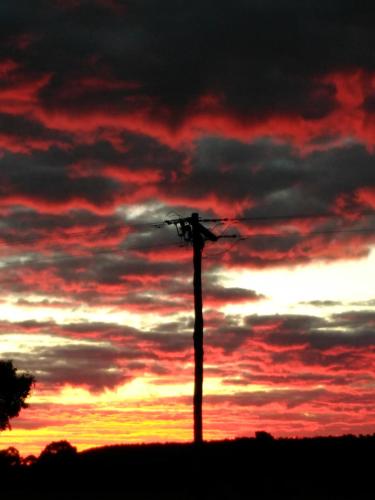 a pole with a bird on top of it at sunset at Rose City Caravan Park in Warwick
