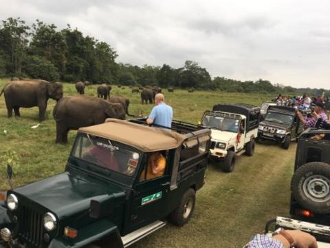 een groep voertuigen die over een weg met olifanten rijden bij Sanctuary Cove Guest House in Polonnaruwa