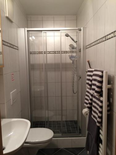 ein Bad mit einer Dusche, einem WC und einem Waschbecken in der Unterkunft Landhaus Ambiente in Westendorf