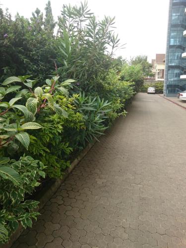 a walkway with bushes and plants next to a building at Yaya Brooks - Tomax in Nairobi