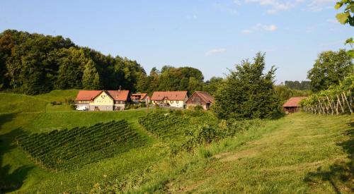 a village on a hill with green grass and houses at Weingut & Buschenschank Pölzl in Großklein