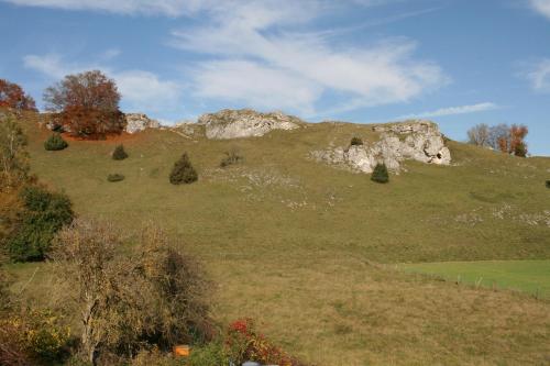 a grassy hill with a large rock on it at Sontheimer Wirtshäusle in Sontheim im Stubental