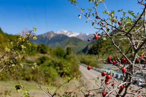 Un paisaje natural cerca de la casa de huéspedes
