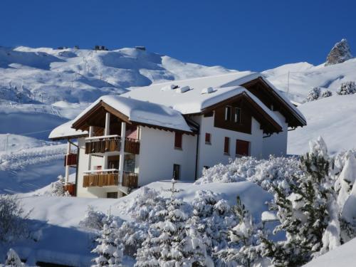 Chli Alpa B13 en invierno
