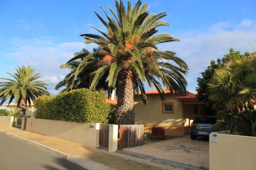 a palm tree in front of a house at Vila Da Praia in Campo de Baixo