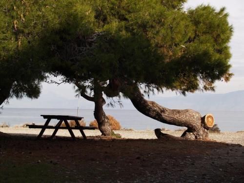 a picnic table and a tree on the beach at Great Greece Le Convivial Suites in Xylokastron