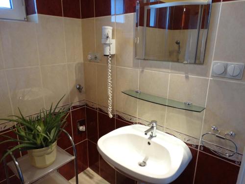 Ένα μπάνιο στο Herkules apartman