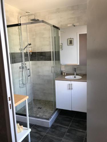 y baño con ducha y lavamanos. en Carcas Hôtes Guest House, en Carcassonne