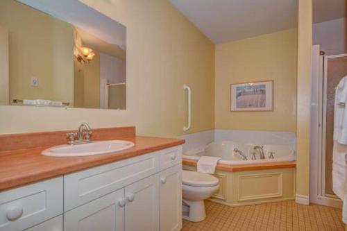 y baño con aseo, bañera y lavamanos. en Condo Lac Archambault 326 en Saint-Donat-de-Montcalm