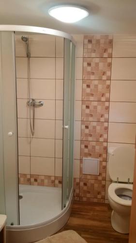 a bathroom with a shower and a toilet at Chata v Šatově in Šatov
