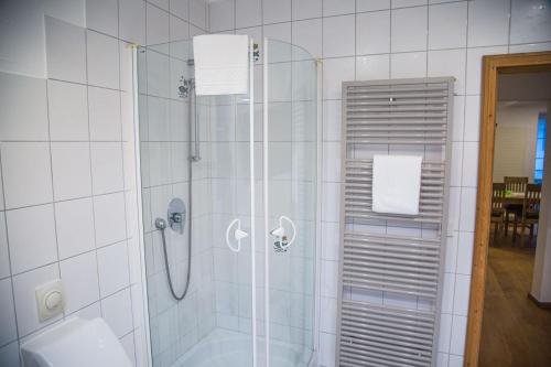 a shower with a glass door in a bathroom at Ferienwohnung Steffen in Sankt Wendel