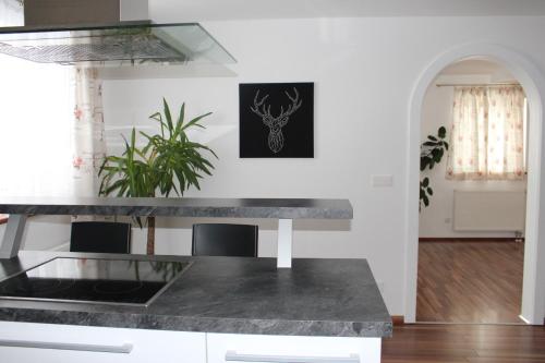 Ferienwohnung by Josef Lanzingerにあるキッチンまたは簡易キッチン
