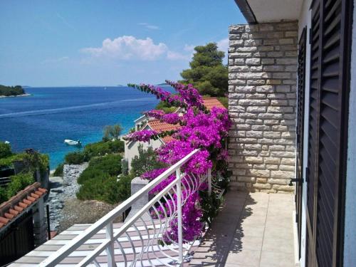 Fotografie z fotogalerie ubytování Apartment Slavio v destinaci Ražanj